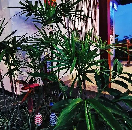 Silas Bali فندق